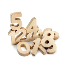 Load image into Gallery viewer, Flockmen Wooden Numbers (1-10)