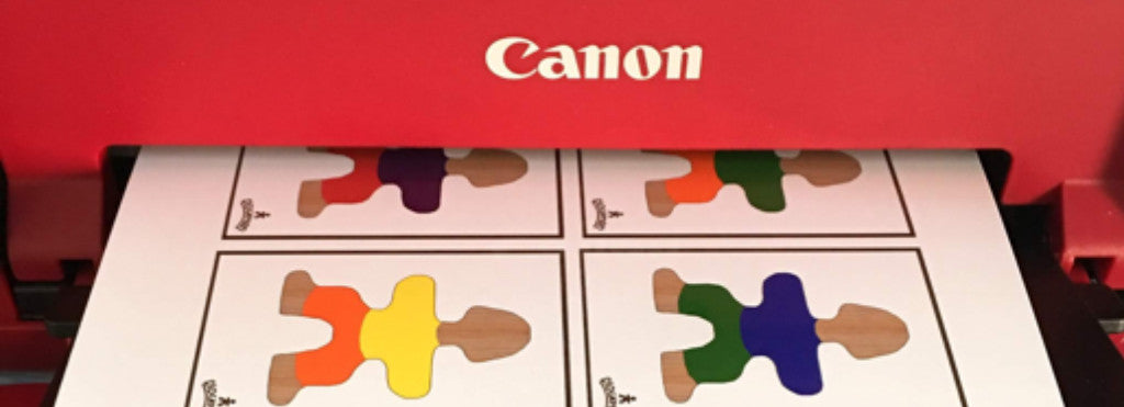 Flockmen Colour Match Cards