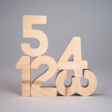 Load image into Gallery viewer, Flockmen Wooden Numbers (1-10)